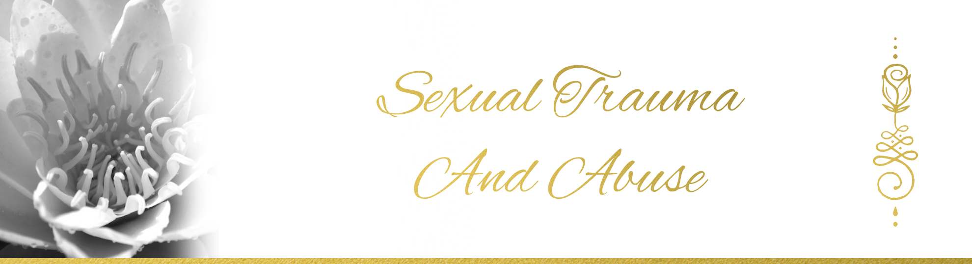 Sexual TraumaAnd abuse Banner